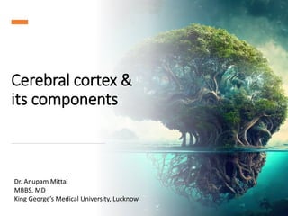 Cerebral cortex &
its components
Dr. Anupam Mittal
MBBS, MD
King George’s Medical University, Lucknow
 