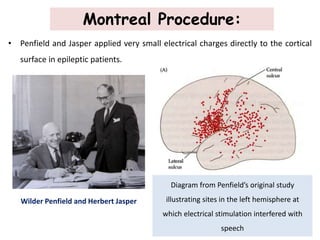 Montreal Procedure:
• Penfield and Jasper applied very small electrical charges directly to the cortical
surface in epileptic patients.
Wilder Penfield and Herbert Jasper
Diagram from Penfield’s original study
illustrating sites in the left hemisphere at
which electrical stimulation interfered with
speech
 