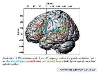 Distribution of 730 activation peaks from 129 language studies: top panel – activation peaks
for phonological (blue), semantic (red), and syntactic (green) tasks; bottom panel – results of
a cluster analysis.
-- Neuroimage (2006) 30(4).1414–32.
 