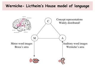 Wernicke- Lictheim’s House model of language
 
