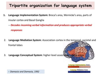 Tripartite organization for language system
1. Language Implementation System: Broca’s area, Wernicke’s area, parts of
insular cortex and Basal Ganglia
-- Decodes incoming verbal information and produces appropriate verbal
responses
2. Language Mediation System: Association cortex in the temporal, parietal and
frontal lobes
3. Language Conceptual System: higher level association cortex areas
-- Damasio and Damasio, 1992
 