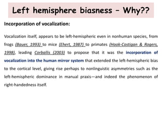 Left hemisphere biasness – Why??
Incorporation of vocalization:
Vocalization itself, appears to be left-hemispheric even in nonhuman species, from
frogs (Bauer, 1993) to mice (Ehert, 1987) to primates (Hook-Costigan & Rogers,
1998), leading Corballis (2003) to propose that it was the incorporation of
vocalization into the human mirror system that extended the left-hemispheric bias
to the cortical level, giving rise perhaps to nonlinguistic asymmetries such as the
left-hemispheric dominance in manual praxis—and indeed the phenomenon of
right-handedness itself.
 