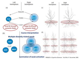 Large & diffused
semantic fields
Small & focused
semantic fields
Multiple distantly related words
Coarse interpretation
Summation of weak activation
 