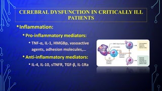 CEREBRAL DYSFUNCTION IN CRITICALLY ILL
PATIENTS
•Inflammation:
•Pro-inflammatory mediators:
• TNF-α, IL-1, HMGBp, vasoactive
agents, adhesion molecules,…
•Anti-inflammatory mediators:
• IL-4, IL-10, sTNFR, TGF-β, IL-1Ra
 