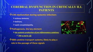 CEREBRAL DYSFUNCTION IN CRITICALLY ILL
PATIENTS
CNS dysfunction during systemic infection:
sickness behavior,
Delirium,
septic encephalopathy,
Pathogenesis, the key element:
the systemic production of pro-inflammatory cytokines:
TNF-a and IL-1β,
BBB cytokine transport systems; likely to play a
role in the passage of these signals
 