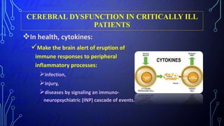 CEREBRAL DYSFUNCTION IN CRITICALLY ILL
PATIENTS
In health, cytokines:
Make the brain alert of eruption of
immune responses to peripheral
inflammatory processes:
infection,
injury,
diseases by signaling an immuno-
neuropsychiatric (INP) cascade of events.
 