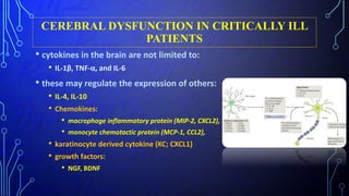 CEREBRAL DYSFUNCTION IN CRITICALLY ILL
PATIENTS
• cytokines in the brain are not limited to:
• IL-1β, TNF-α, and IL-6
• these may regulate the expression of others:
• IL-4, IL-10
• Chemokines:
• macrophage inflammatory protein (MIP-2, CXCL2),
• monocyte chemotactic protein (MCP-1, CCL2),
• karatinocyte derived cytokine (KC; CXCL1)
• growth factors:
• NGF, BDNF
 