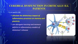 CEREBRAL DYSFUNCTION IN CRITICALLY ILL
PATIENTS
• IL-4 and IL-10:
• alleviate the deleterious impact of
inflammatory processes on memory and
plasticity
• can abrogate learning and memory
deficits in inflammatory models of
Alzheimer’s disease
 