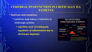 CEREBRAL DYSFUNCTION IN CRITICALLY ILL
PATIENTS
• Delirium and cytokines:
• cytokines may induce a reduction in
cholinergic activity;
• repetitive cycle of inadequate
regulation of inflammation due to
cholinergic depletion
 