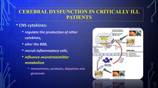 CEREBRAL DYSFUNCTION IN CRITICALLY ILL
PATIENTS
• CNS cytokines:
• regulate the production of other
cytokines,
• alter the BBB,
• recruit inflammatory cells,
• influence neurotransmitter
metabolism
• monoamines, serotonin, dopamine and
glutamate
 