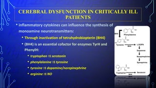 CEREBRAL DYSFUNCTION IN CRITICALLY ILL
PATIENTS
• inflammatory cytokines can influence the synthesis of
monoamine neurotransmitters:
• Through inactivation of tetrahydrobiopterin (BH4)
• (BH4) is an essential cofactor for enzymes TyrH and
PhenylH:
• tryptophan ⇉ serotonin
• phenylalanine ⇉ tyrosine
• tyrosine ⇉ dopamine/norepinephrine
• arginine ⇉ NO
 