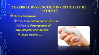 CEREBRAL DYSFUNCTION IN CRITICALLY ILL
PATIENTS
Stress Response:
Tries to maintain homeostasis in
the face of derangement of
physiological phenomena:
Injury, trauma, ….
 