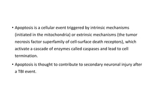 • Apoptosis is a cellular event triggered by intrinsic mechanisms
(initiated in the mitochondria) or extrinsic mechanisms (the tumor
necrosis factor superfamily of cell-surface death receptors), which
activate a cascade of enzymes called caspases and lead to cell
termination.
• Apoptosis is thought to contribute to secondary neuronal injury after
a TBI event.
 