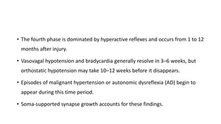 • The fourth phase is dominated by hyperactive reflexes and occurs from 1 to 12
months after injury.
• Vasovagal hypotension and bradycardia generally resolve in 3–6 weeks, but
orthostatic hypotension may take 10–12 weeks before it disappears.
• Episodes of malignant hypertension or autonomic dysreflexia (AD) begin to
appear during this time period.
• Soma-supported synapse growth accounts for these findings.
 