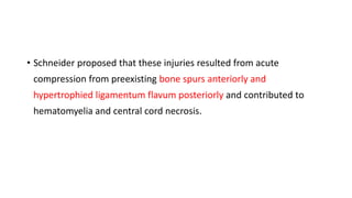• Schneider proposed that these injuries resulted from acute
compression from preexisting bone spurs anteriorly and
hypertrophied ligamentum flavum posteriorly and contributed to
hematomyelia and central cord necrosis.
 