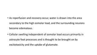 • As reperfusion and recovery occur, water is drawn into the area
secondary to the high osmolar load, and the surrounding neurons
become edematous.
• Cellular swelling independent of osmolar load occurs primarily in
astrocyte foot processes and is thought to be brought on by
excitotoxicity and the uptake of glutamate.
 