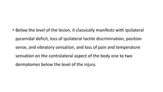 • Below the level of the lesion, it classically manifests with ipsilateral
pyramidal deficit, loss of ipsilateral tactile discrimination, position
sense, and vibratory sensation, and loss of pain and temperature
sensation on the contralateral aspect of the body one to two
dermatomes below the level of the injury.
 