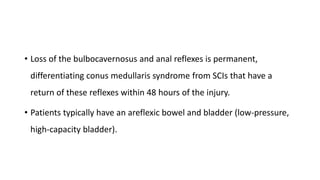 • Loss of the bulbocavernosus and anal reflexes is permanent,
differentiating conus medullaris syndrome from SCIs that have a
return of these reflexes within 48 hours of the injury.
• Patients typically have an areflexic bowel and bladder (low-pressure,
high-capacity bladder).
 