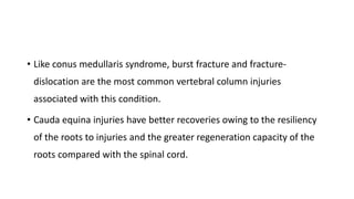 • Like conus medullaris syndrome, burst fracture and fracture-
dislocation are the most common vertebral column injuries
associated with this condition.
• Cauda equina injuries have better recoveries owing to the resiliency
of the roots to injuries and the greater regeneration capacity of the
roots compared with the spinal cord.
 