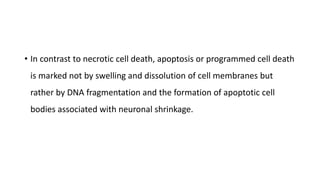 • In contrast to necrotic cell death, apoptosis or programmed cell death
is marked not by swelling and dissolution of cell membranes but
rather by DNA fragmentation and the formation of apoptotic cell
bodies associated with neuronal shrinkage.
 