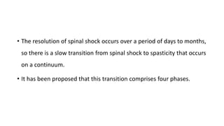 • The resolution of spinal shock occurs over a period of days to months,
so there is a slow transition from spinal shock to spasticity that occurs
on a continuum.
• It has been proposed that this transition comprises four phases.
 