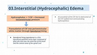 Comprehensive Overview of Cerebral Edema and Intracranial Pressure | PPTX