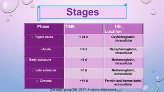 Phase TIME HB ,
Location
o Hyper acute < 24 h Oxyhemoglobin,
intracellular
oAcute 1-3 d Deoxyhemoglobin,
intracellular
o Early subacute >3 d Methemoglobin,
intracellular
o Late subacute >7 d Methemoglobin,
extracellular
o Chronic >14 d Ferritin and hemosiderin,
extracellular
Stages
2nd year: group(26) -2017- Anatomy department
 