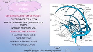 SUPERFICIAL SYSTEM OF VEINS :-
SUPERIOR CEREBRAL VEIN
MIDDLE CEREBRAL VEIN ( SUPERFICIAL &
DEEP )
INFERIOR CEREBRAL VEIN
DEEP SYSTEM OF VEINS :-
THALAMOSTRIATE VEINS
CHOROID VEINS
INTERNAL CEREBRAL VEINS
GREAT CEREBRAL VEIN
Cerebral
Veins
2nd year: group(26) -2017- Anatomy department
 