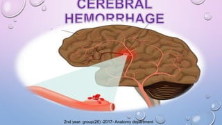 2nd year: group(26) -2017- Anatomy department
 