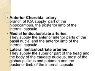  Anterior Choroidal artery
branch of ICA supply part of the
hippocampus, the posterior limb of the
internal capsule
 Medial lenticulostriate arteries
They supply the anterior inferior parts of the
basal nuclei and the anterior limb of the
internal capsule.
 Lateral lenticulostriate arteries
They supply the superior part of the head and
the body of the caudate nucleus, most of the
globus pallidus and putamen and the
posterior limb of the internal capsule
 