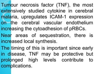 Tumour necrosis factor (TNF), the most
extensively studied cytokine in cerebral
malaria, upregulates ICAM-1 expression
on the cerebral vascular endothelium
increasing the cytoadhesion of pRBCs.
Near areas of sequestration, there is
increased local synthesis.
The timing of this is important since early
in disease, TNF may be protective but
prolonged high levels contribute to
complications.
 
