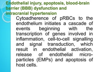 Endothelial injury, apoptosis, blood-brain
barrier (BBB) dysfunction and
intracranial hypertension
Cytoadherence of pRBCs to the
endothelium initiates a cascade of
events beginning with the
transcription of genes involved in
inflammation, cell-to-cell signalling
and signal transduction, which
result in endothelial activation,
release of endothelial micro-
particles (EMPs) and apoptosis of
host cells.
 