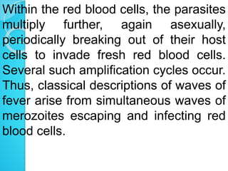 Within the red blood cells, the parasites
multiply further, again asexually,
periodically breaking out of their host
cells to invade fresh red blood cells.
Several such amplification cycles occur.
Thus, classical descriptions of waves of
fever arise from simultaneous waves of
merozoites escaping and infecting red
blood cells.
 