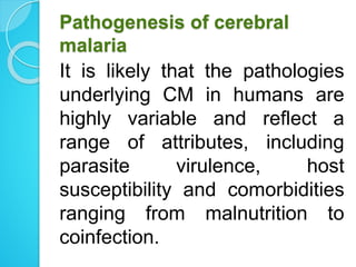 Pathogenesis of cerebral
malaria
It is likely that the pathologies
underlying CM in humans are
highly variable and reflect a
range of attributes, including
parasite virulence, host
susceptibility and comorbidities
ranging from malnutrition to
coinfection.
 