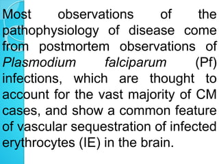 Most observations of the
pathophysiology of disease come
from postmortem observations of
Plasmodium falciparum (Pf)
infections, which are thought to
account for the vast majority of CM
cases, and show a common feature
of vascular sequestration of infected
erythrocytes (IE) in the brain.
 