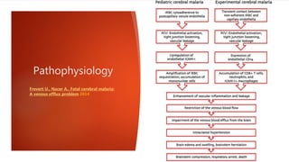 Pathophysiology
Frevert U., Nacer A., Fatal cerebral malaria:
A venous efflux problem 2014
 