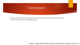 Transmission
 Human transmission of Plasmodium occurs during the blood meal of an infected
female mosquito of the Anopheles genus
Luzolo AL, Ngoyi DM. Cerebral malaria. Brain research bulletin. 2019 Jan 15.
 