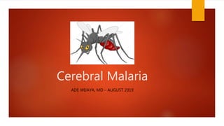 Cerebral Malaria
ADE WIJAYA, MD – AUGUST 2019
 