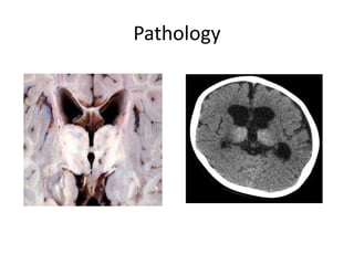 Pathology 
 