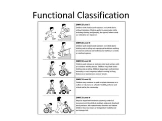 Functional Classification 
 