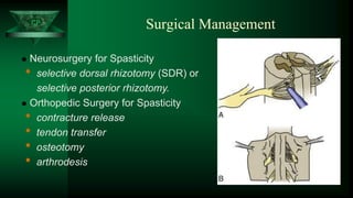 CP
Surgical Management
 Neurosurgery for Spasticity
• selective dorsal rhizotomy (SDR) or
selective posterior rhizotomy.
 Orthopedic Surgery for Spasticity
• contracture release
• tendon transfer
• osteotomy
• arthrodesis
 