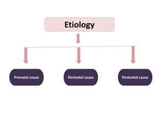 Etiology
Prenatal cause Perinatal cause Postnatal cause
 