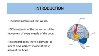 INTRODUCTION
• The brain controls all that we do.
• Different parts of the brain control the
movement of every muscle of the body.
• In cerebral palsy, there is damage or
lack of development in/one of these
areas of the brain.
 