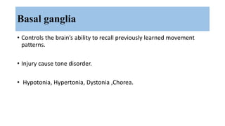 Basal ganglia
• Controls the brain’s ability to recall previously learned movement
patterns.
• Injury cause tone disorder.
• Hypotonia, Hypertonia, Dystonia ,Chorea.
 