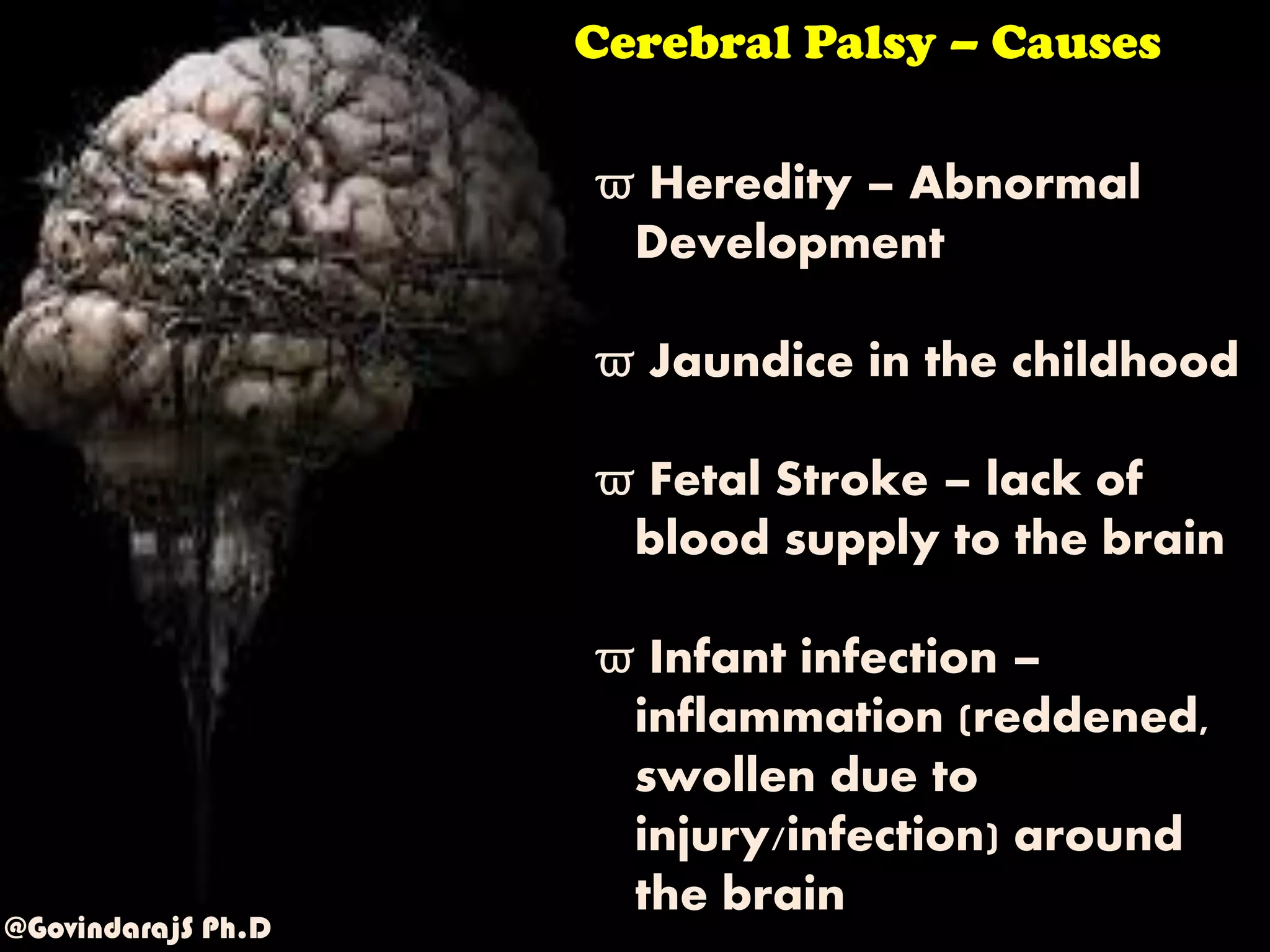Creating an Inclusive School - Cerebral Palsy, Multiple disabilities | PDF