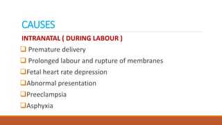CAUSES
INTRANATAL ( DURING LABOUR )
 Premature delivery
 Prolonged labour and rupture of membranes
Fetal heart rate depression
Abnormal presentation
Preeclampsia
Asphyxia
 