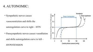 Cerebral physiology and cerebral autoregulation (2).pptx