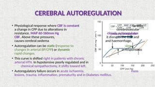 CEREBRAL PHYSIOLOGY PPT 2.pptx nice ppt | PPTX