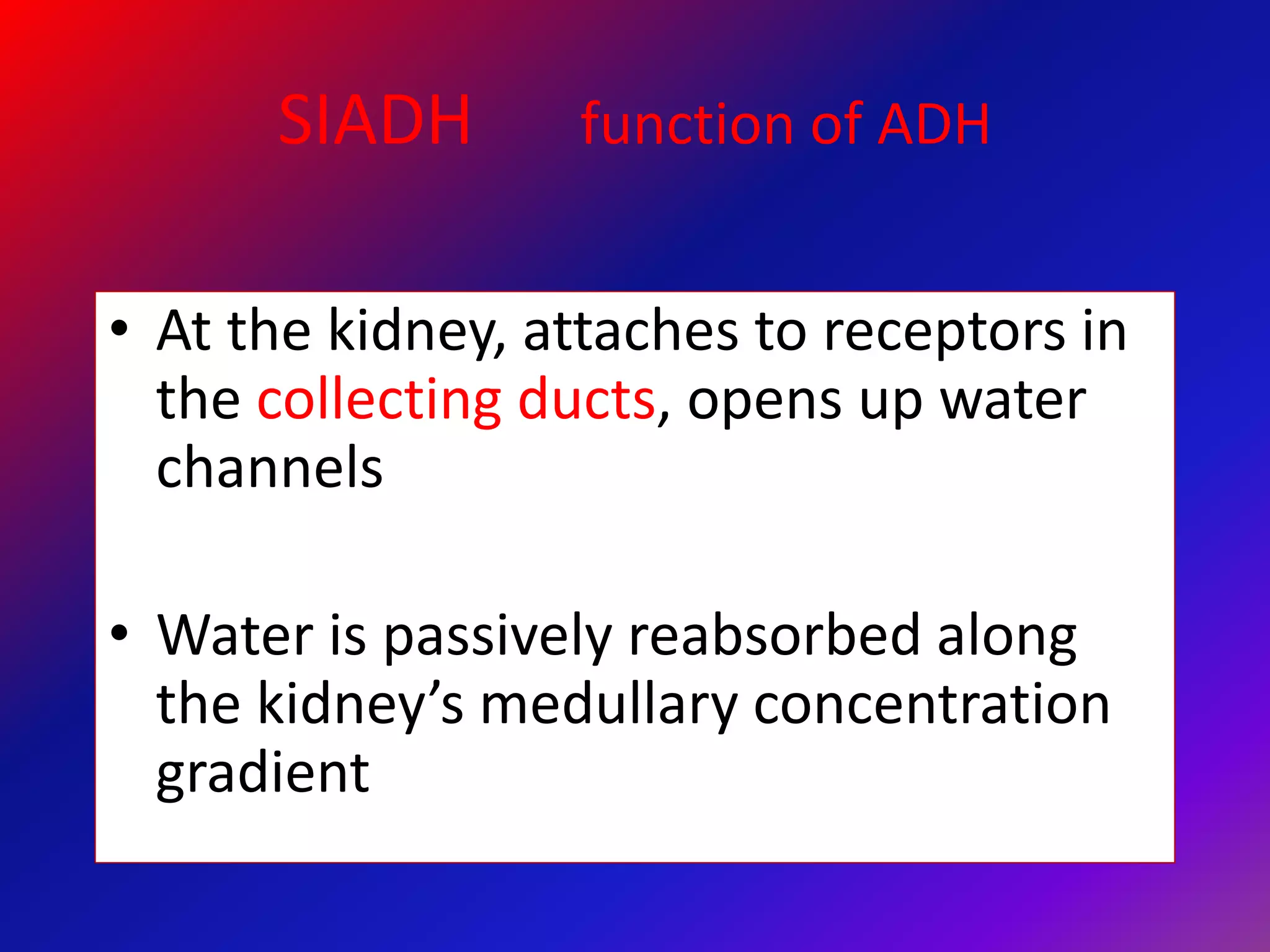 SIADH function of ADH
• At the kidney, attaches to receptors in
the collecting ducts, opens up water
channels
• Water is passively reabsorbed along
the kidney’s medullary concentration
gradient
 