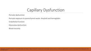 Cerebral Small Vessel Disease | PPTX